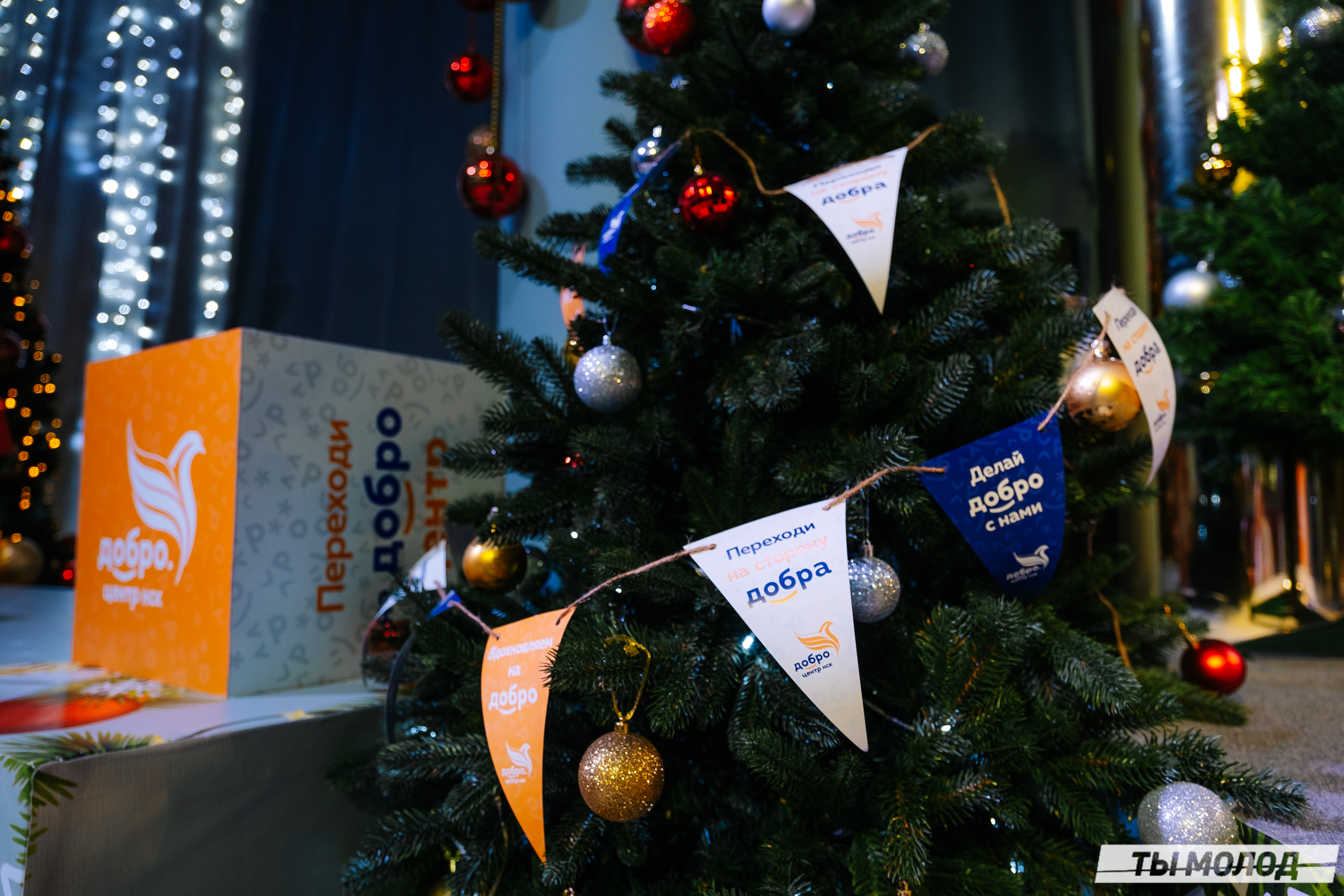 Награждение Добровольцев 2022 Награждение Добровольцев 2022