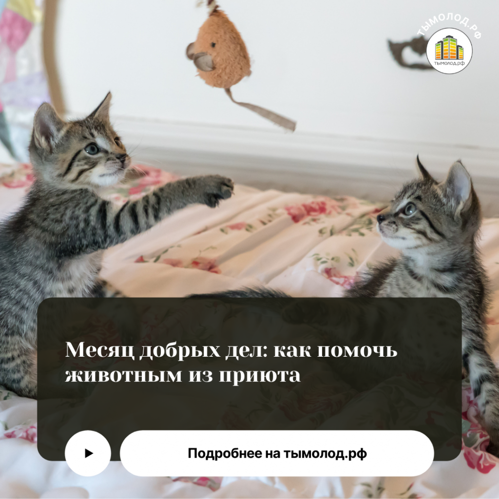 Помощь животным 