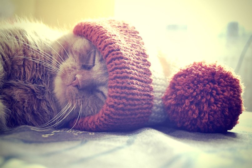 catexhb.jpg