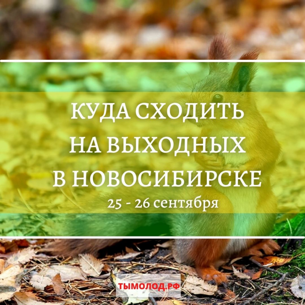 Куда сходить на выходных в Новосибирске Куда сходить на выходных в Новосибирске