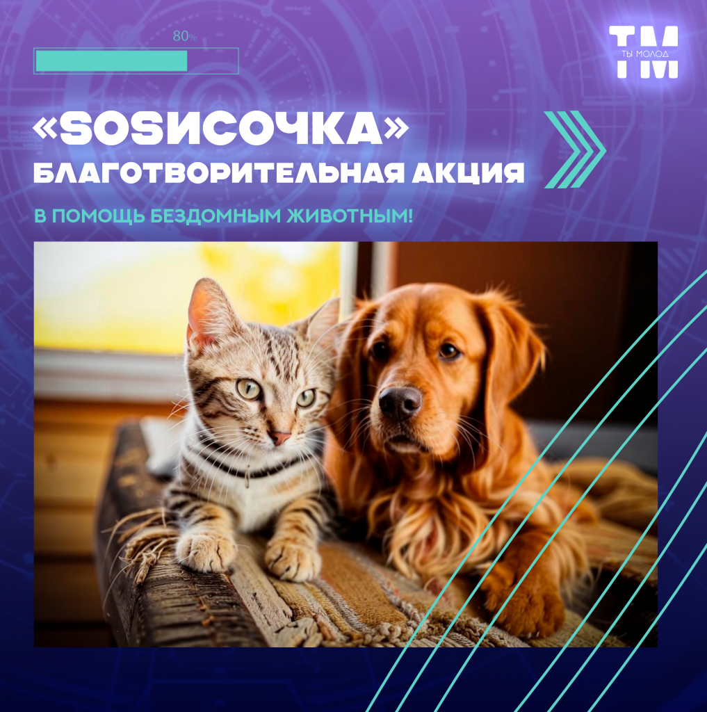 сосисочка.png сосисочка.png