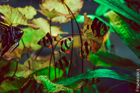 Международный форум "Современный взгляд на общественную безопасность"