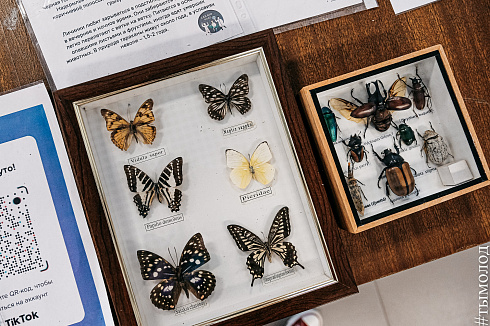 Форум «Территория успеха» 