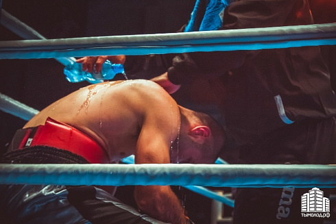 Отборочный турнир по боксу, 31.01.2015