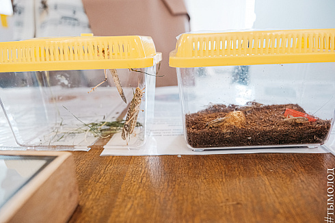 Форум «Территория успеха» 