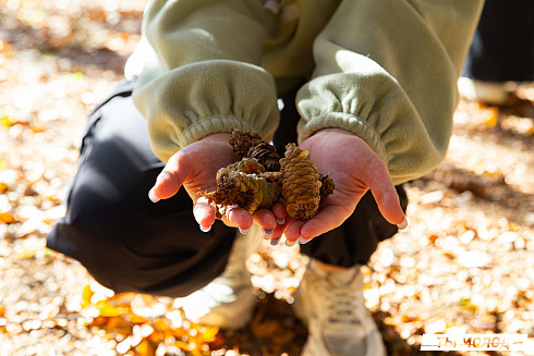 Слет-фестиваль "Наше время" 