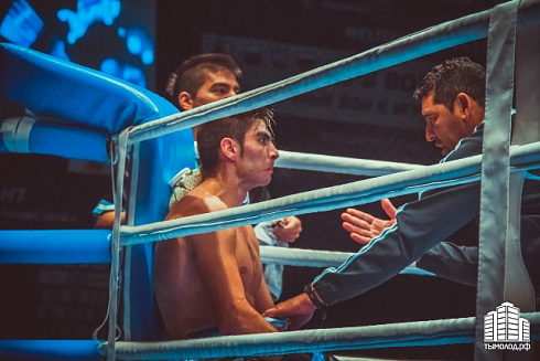 Отборочный турнир по боксу, 31.01.2015