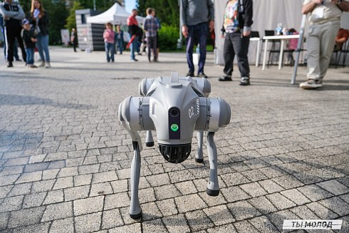 Фестиваль современного городского искусства "АРТ-ФАБРИКА" 