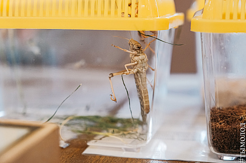 Форум «Территория успеха» 