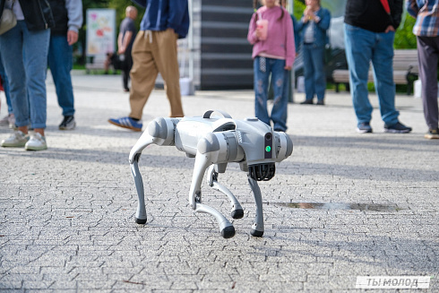 Фестиваль современного городского искусства "АРТ-ФАБРИКА" 