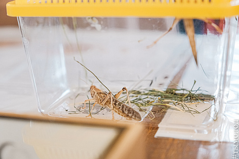 Форум «Территория успеха» 