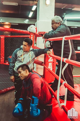 "Музейный ринг"