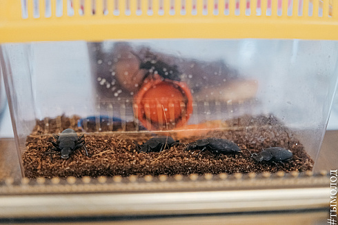 Форум «Территория успеха» 