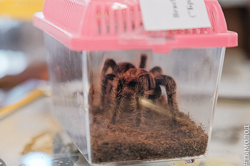 Форум «Территория успеха» 