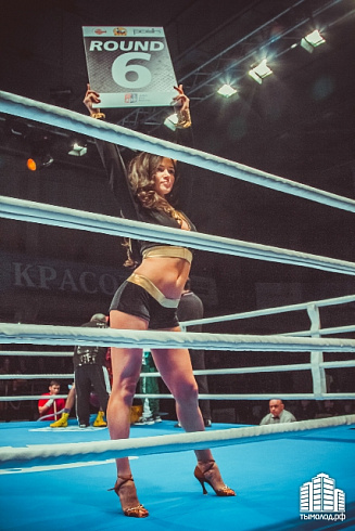 Отборочный турнир по боксу, 31.01.2015