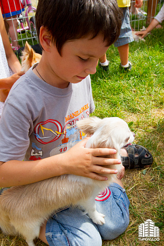 Молодежный крестный ход