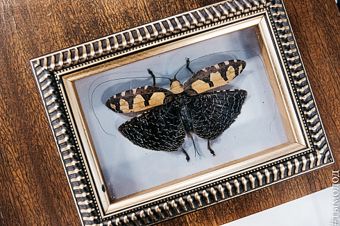 Форум «Территория успеха» 