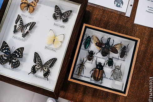 Форум «Территория успеха» 