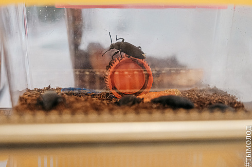 Форум «Территория успеха» 